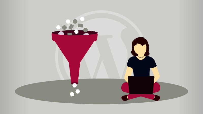 WordPress logo near a funnel and a girl.